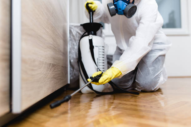 Best Residential Pest Control  in Littlefield, TX