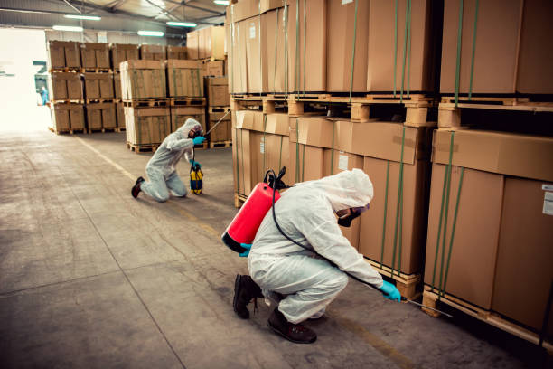Best Residential Pest Control  in Littlefield, TX