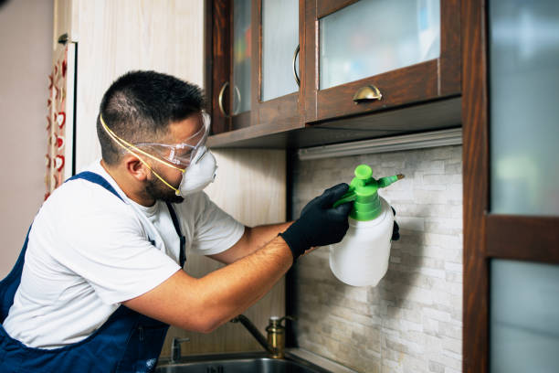 Best Pest Inspection Near Me  in Littlefield, TX
