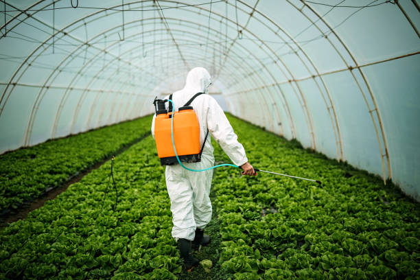 Best Pest Prevention Services  in Littlefield, TX