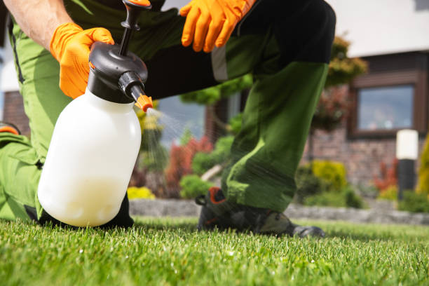 Best Wildlife Control Services  in Littlefield, TX