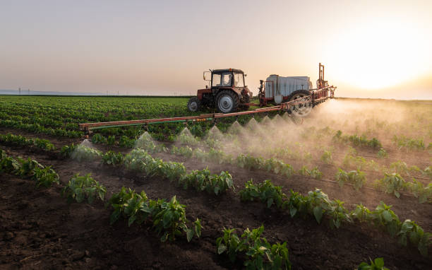Best Pest Control for Businesses  in Littlefield, TX