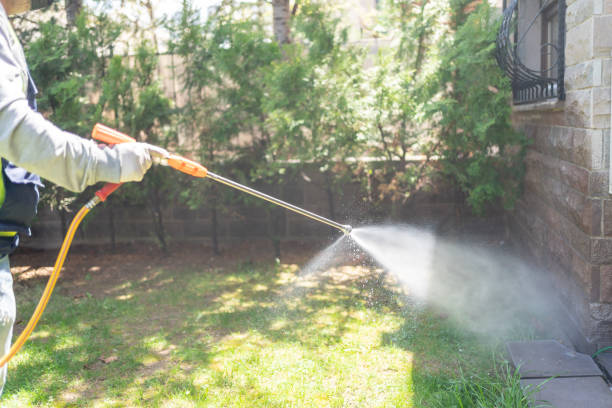 Best Local Pest Control Services  in Littlefield, TX