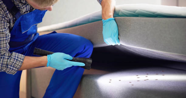 Best Affordable Pest Control Services  in Littlefield, TX